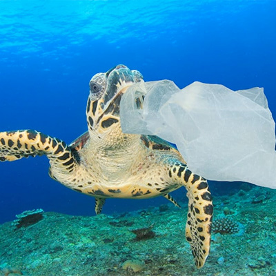 Single use plastic. As opposed to purchasing large quantities of plastic water bottles, buy a reusable bottle that can be refilled throughout the day